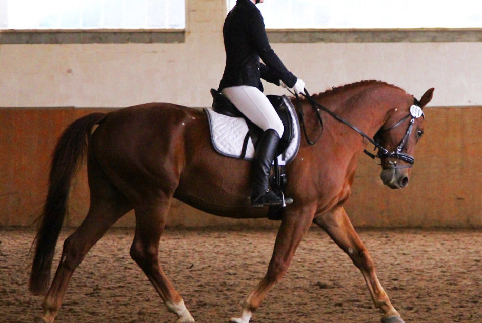 Reiten AG Steinmühle