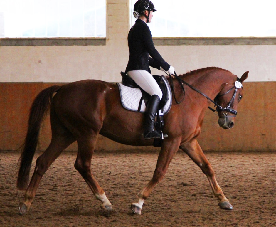 Reiten AG Steinmühle