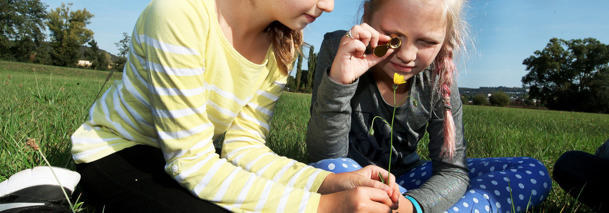 Projektunterricht Steinmühle
