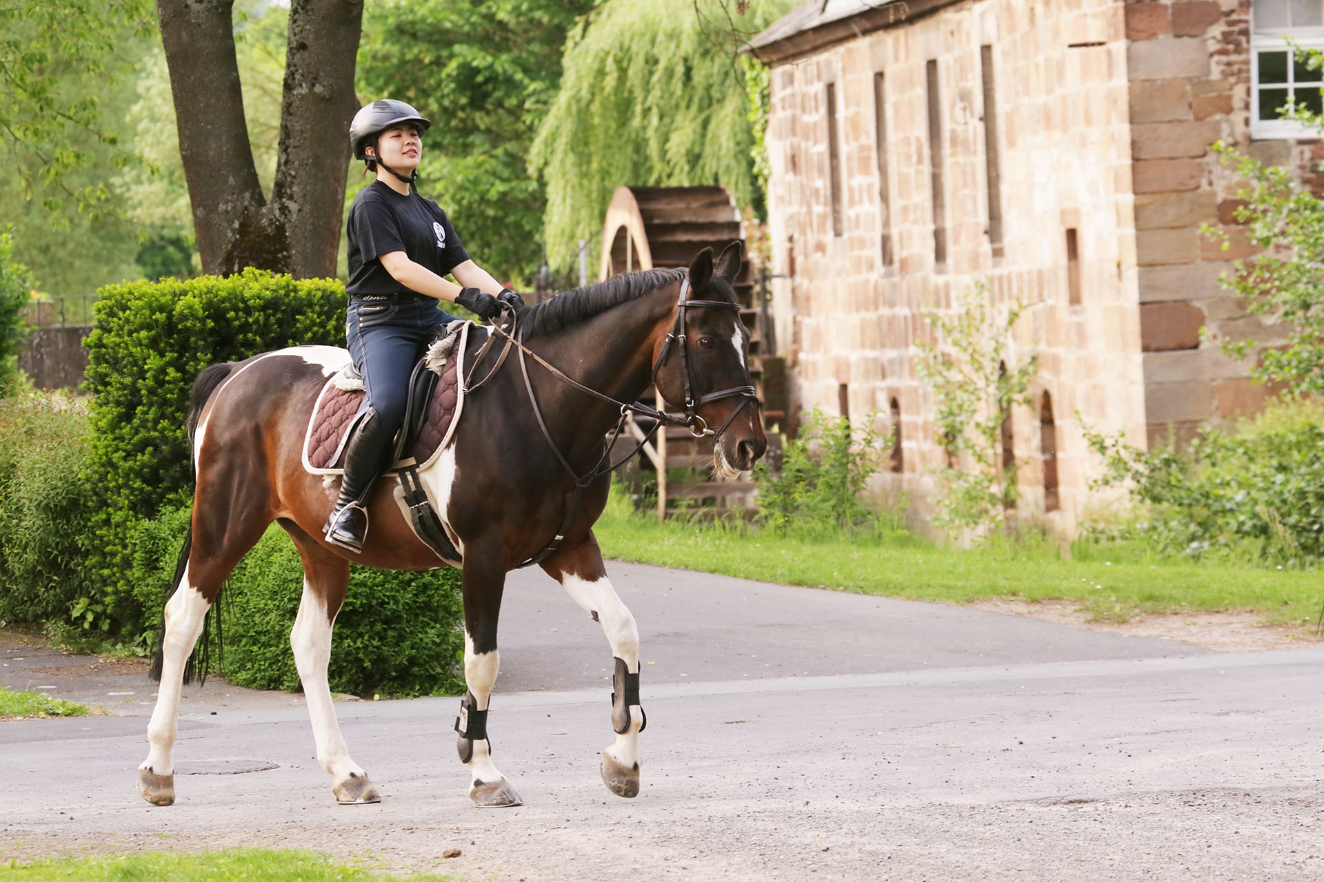 Reiten an dem Internat Steinmühle in Marburg